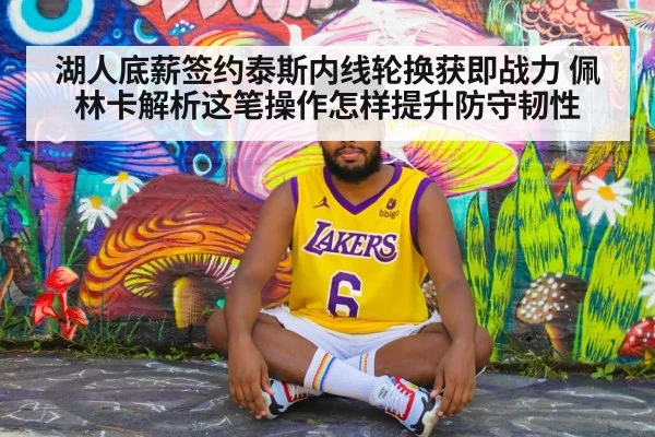 湖人底薪签约泰斯内线轮换获即战力 佩林卡解析这笔操作怎样提升防守韧性