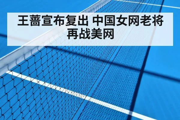 王蔷宣布复出 中国女网老将再战美网